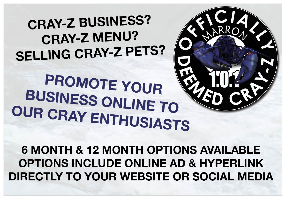 Promote your business to our Cray Enthusiast